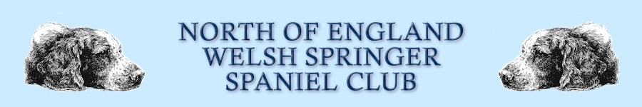 North of England Welsh Springer Spaniel Club